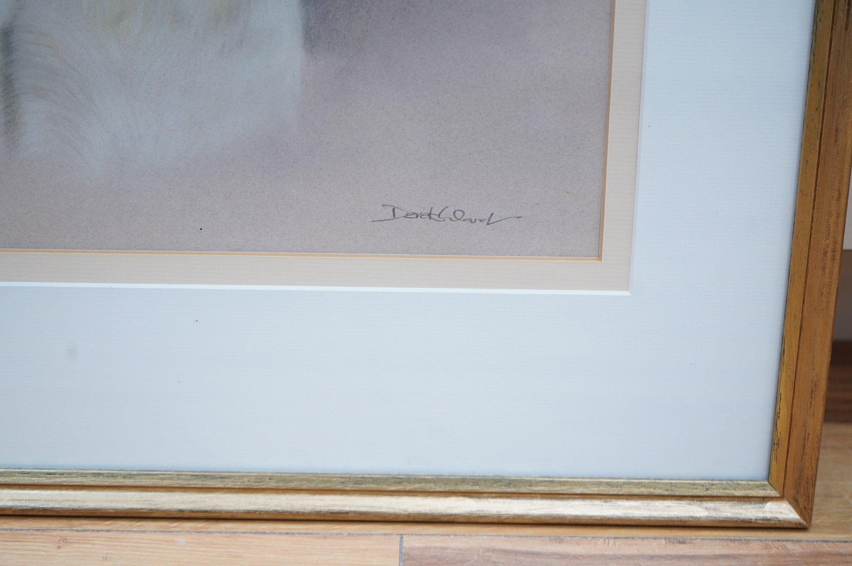 Derek Ward (20th. C), Portrait of a Saluki named Farid, signed, details verso, pastel, 41 x 31cm